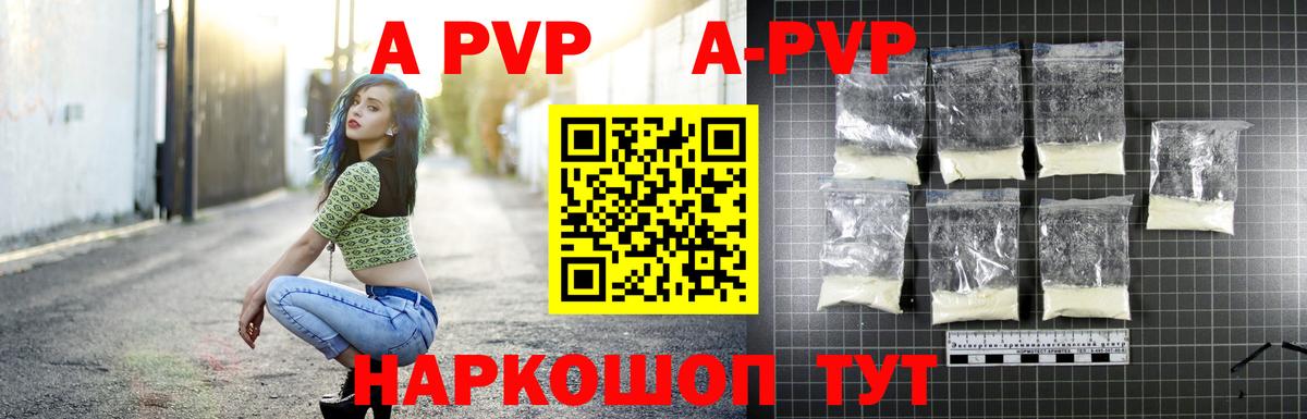 APVP СК КРИС Калининград